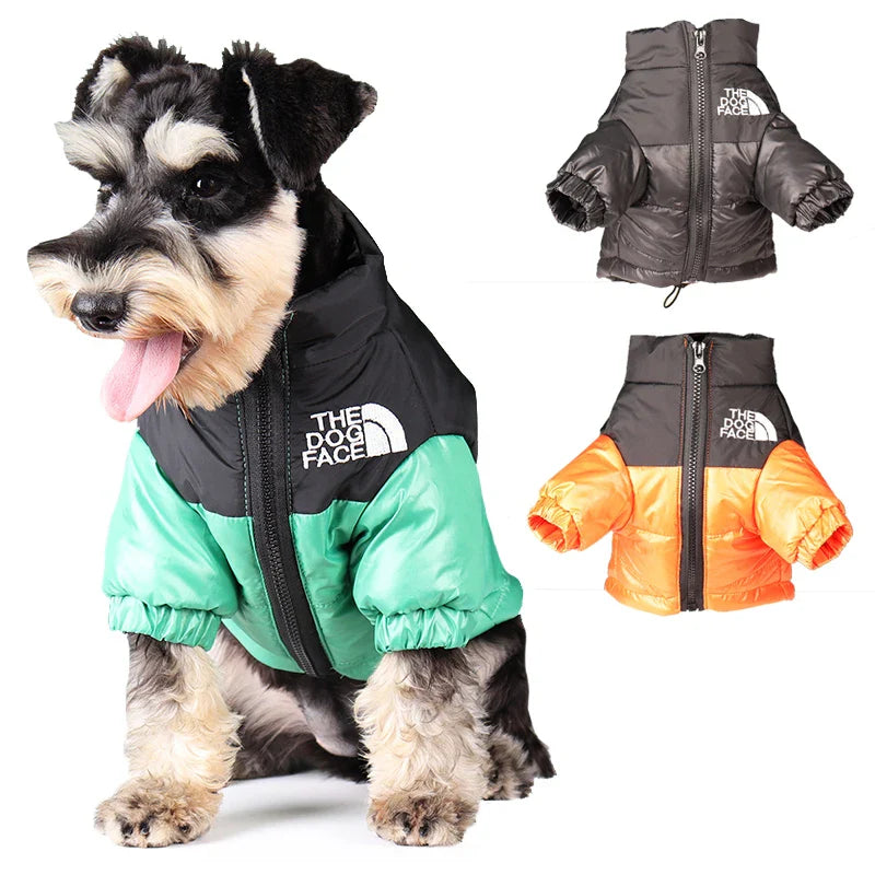 Dog Apparel