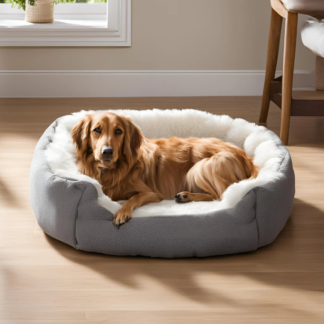 Dog Beds