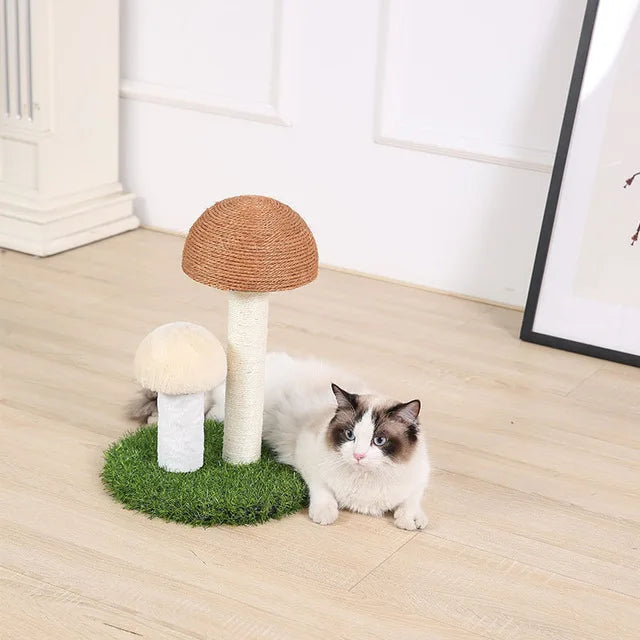 Kitten Mushrooms Cat Scratcher