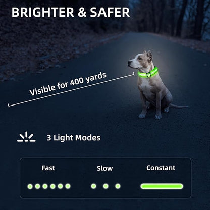 High Visibility Nylon LED Dog Collar