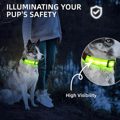 High Visibility Nylon LED Dog Collar