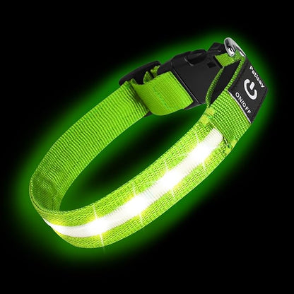 High Visibility Nylon LED Dog Collar