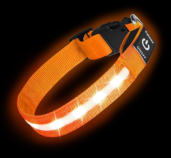 High Visibility Nylon LED Dog Collar