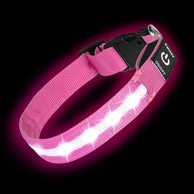 High Visibility Nylon LED Dog Collar