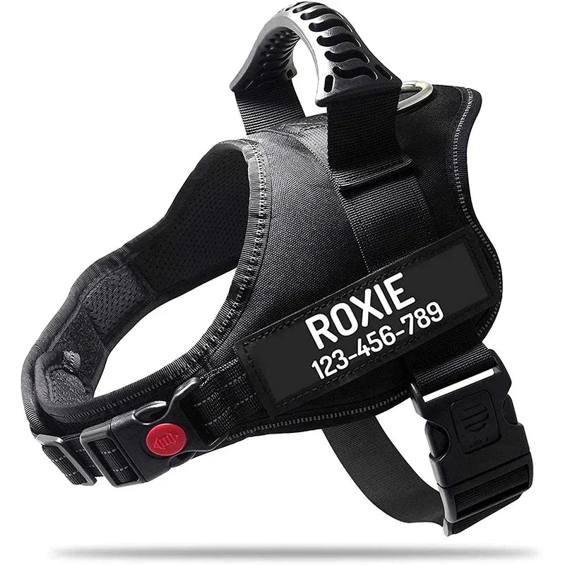 Custom ID Dog Harness