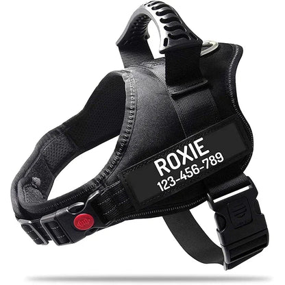 Custom ID Dog Harness