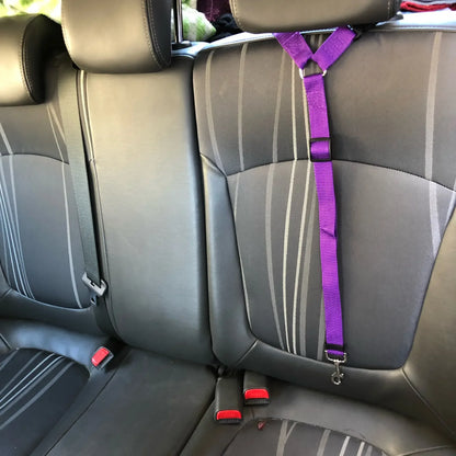 Adjustable Pet Seat belts