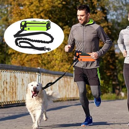 Hands Free Dog Running Leash