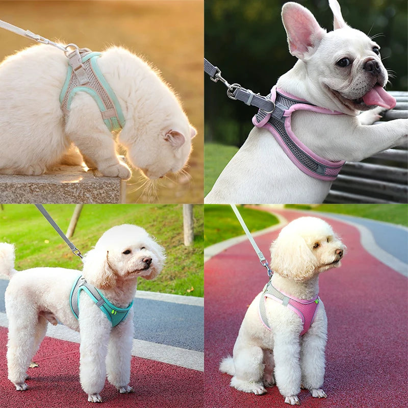 Cat Harness & Leash Set