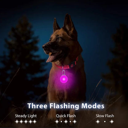 Glowing Dog Collar With Pendant