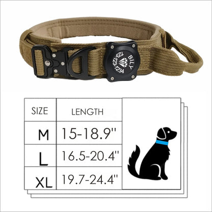 Dog Collar With Handle For AirTag