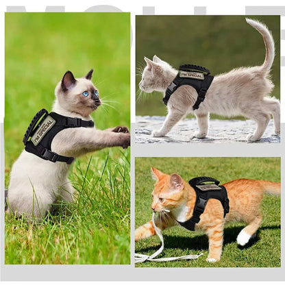 Tactical Small Pet Harness