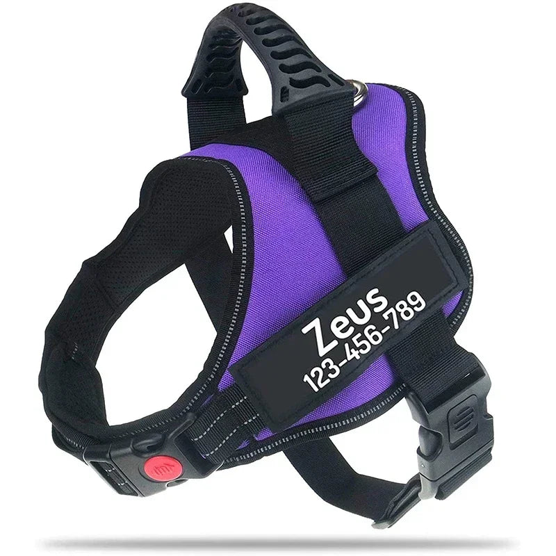 Custom ID Dog Harness