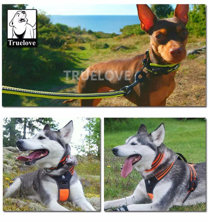 Truelove Reflective Adjustable Dog Collar