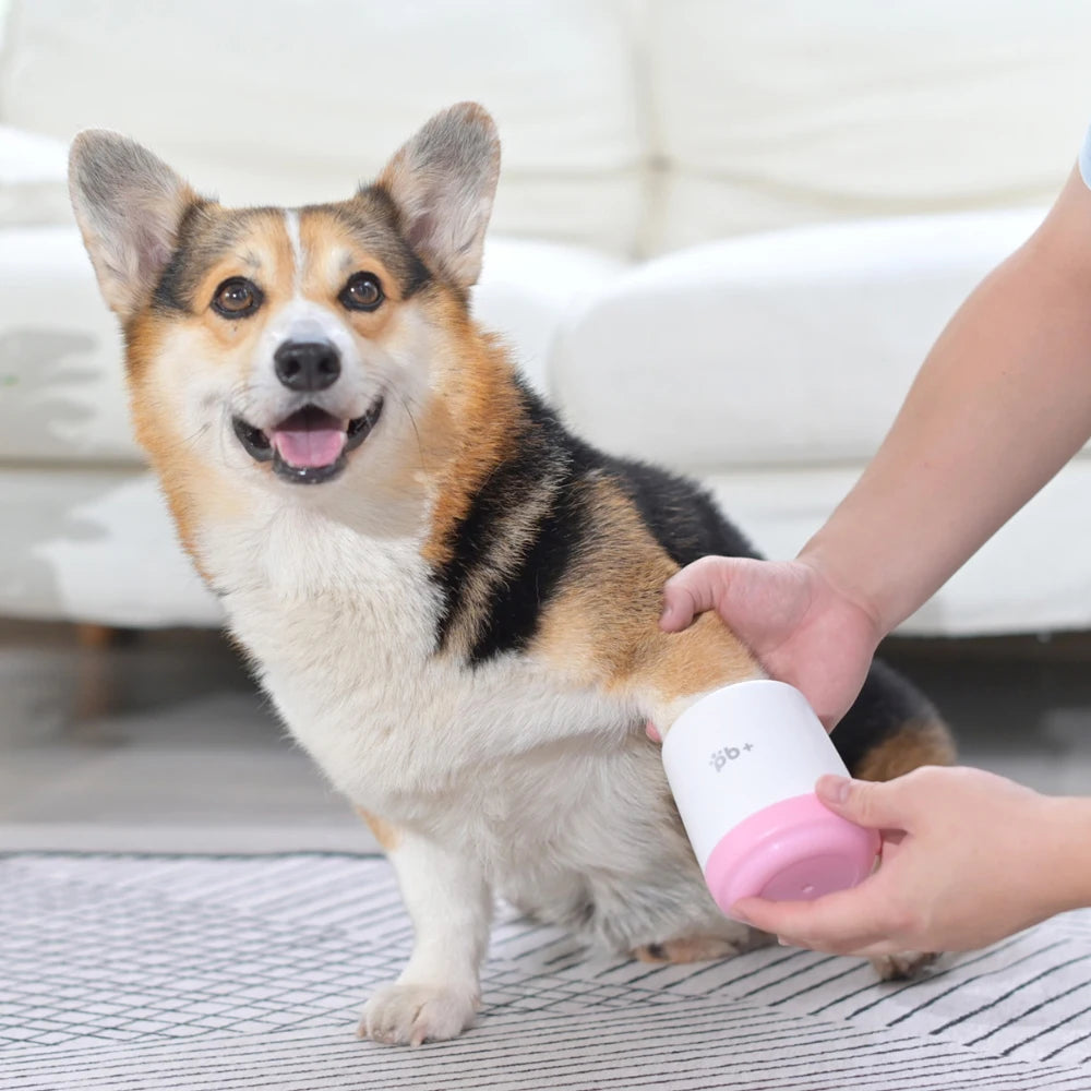 Paw Cleaning Brush