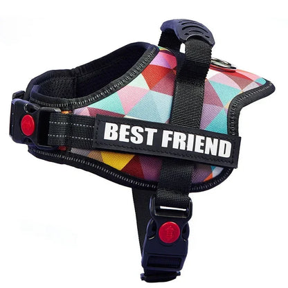 Custom ID Dog Harness