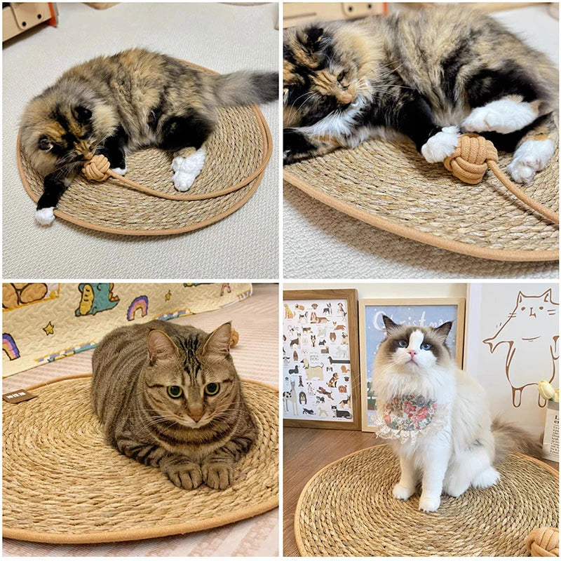 Cat Scratcher Mat With Ball