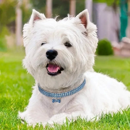 Rhinestone Dog Necklace Collar