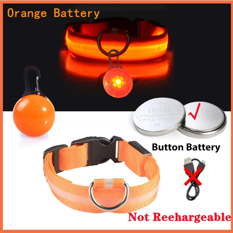 Glowing Dog Collar With Pendant