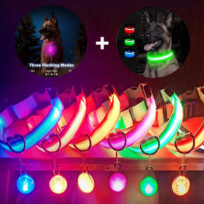 Glowing Dog Collar With Pendant