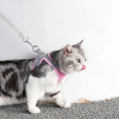 Cat Harness & Leash Set