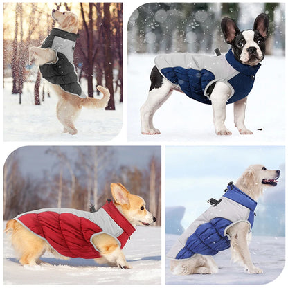 Dog Puffer Jacket