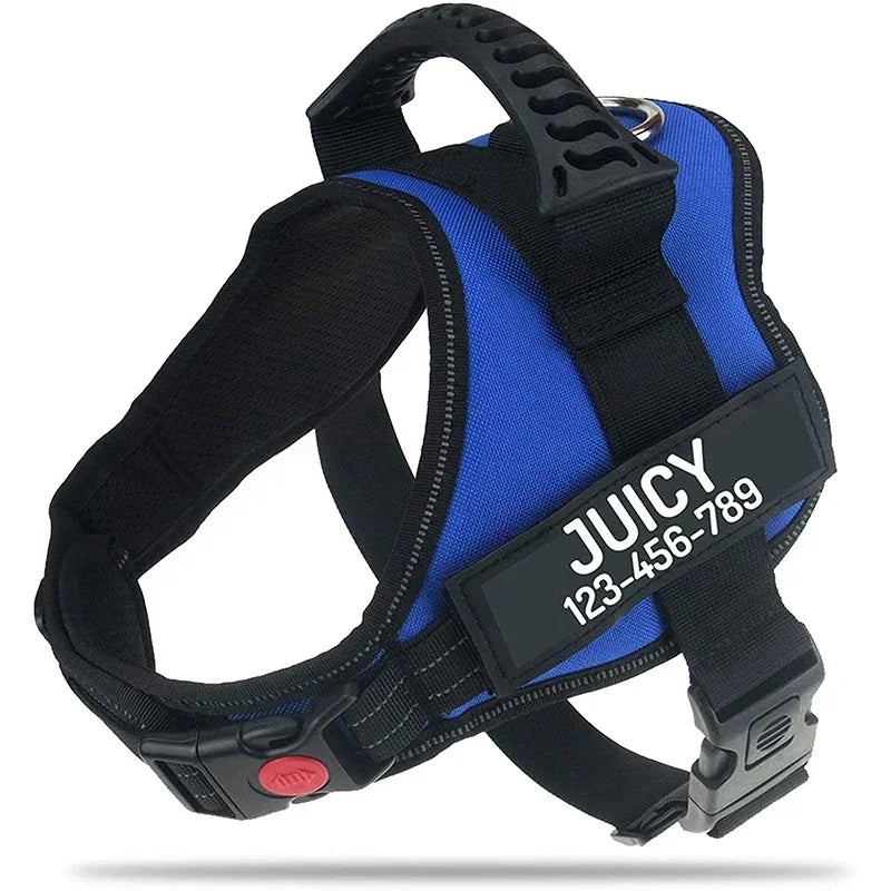 Custom ID Dog Harness