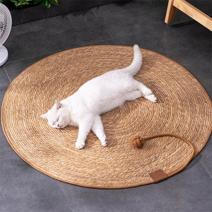 Cat Scratcher Mat With Ball