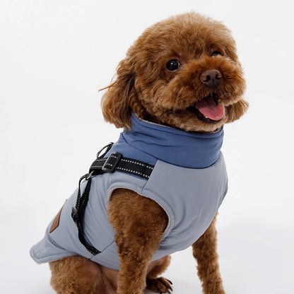 Winter Dog Jacket With Harness