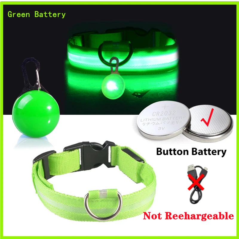 Glowing Dog Collar With Pendant