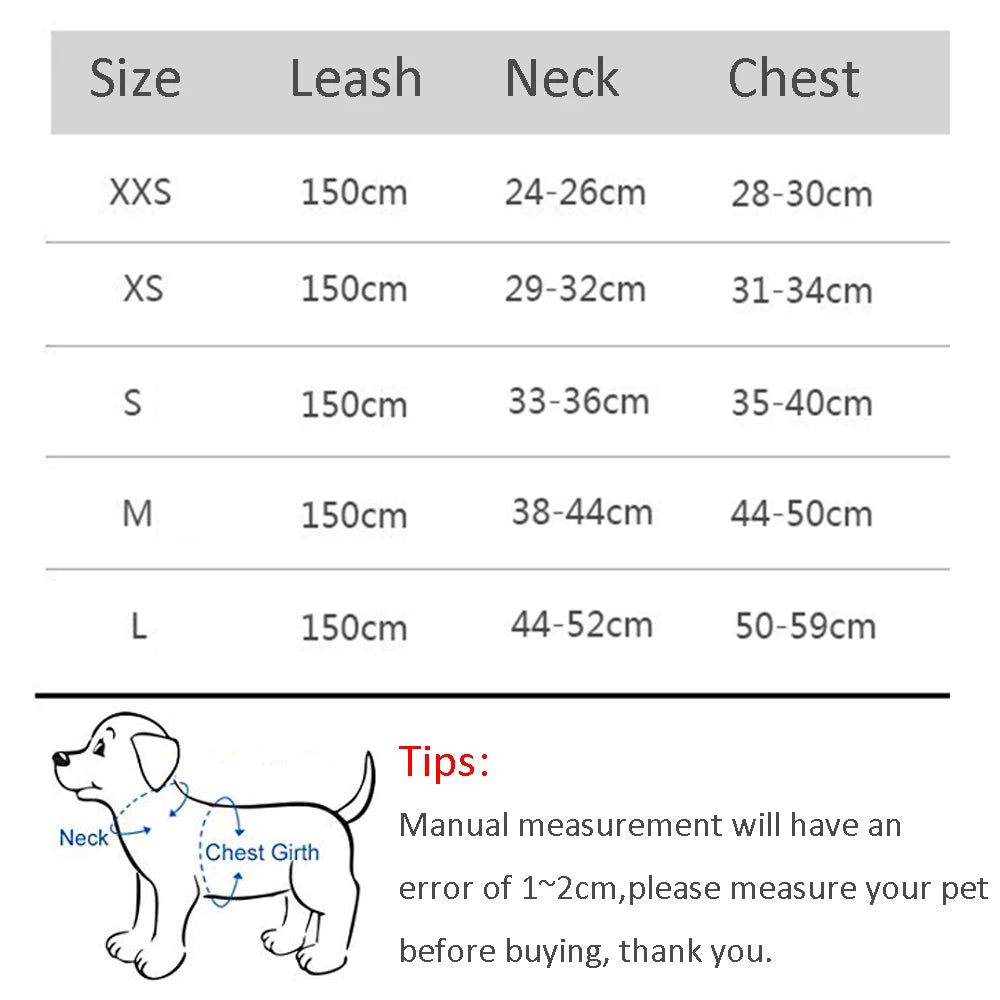 Cat Harness & Leash Set