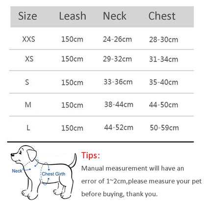 Cat Harness & Leash Set