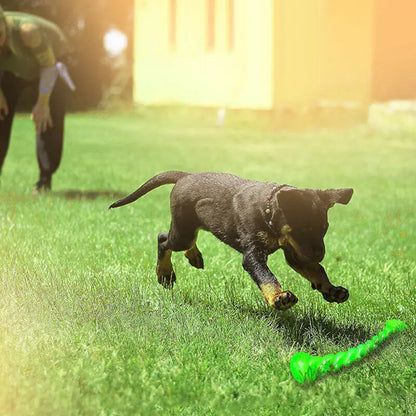 Dog Training Interactive Toy