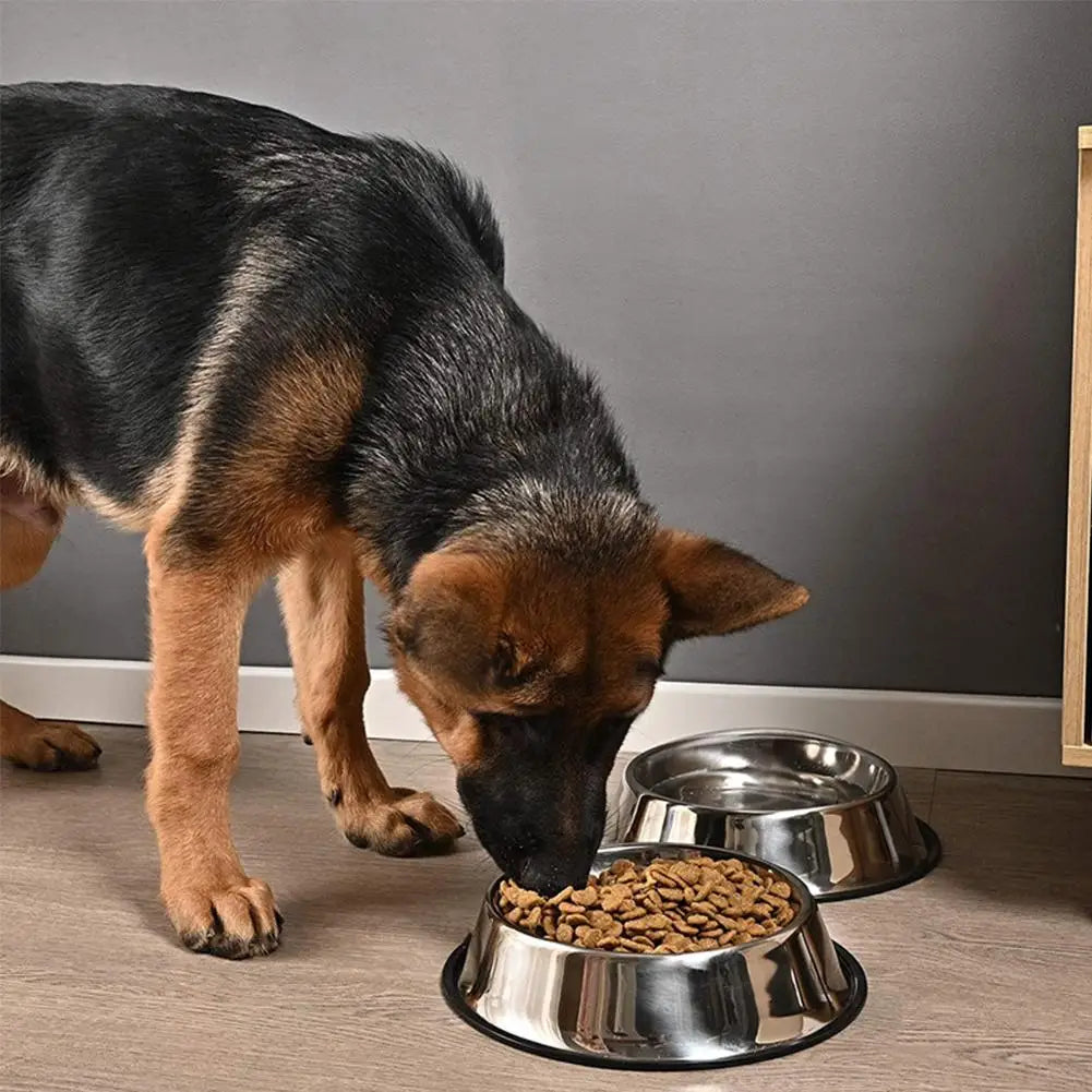 Stainless Steel Dog Bowls + Rubber Base