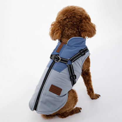 Winter Dog Jacket With Harness