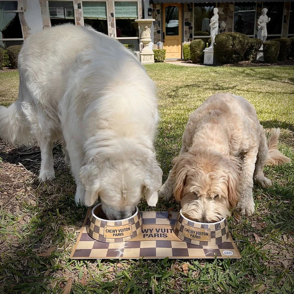 Luxury Brand Designer Dog Bowl