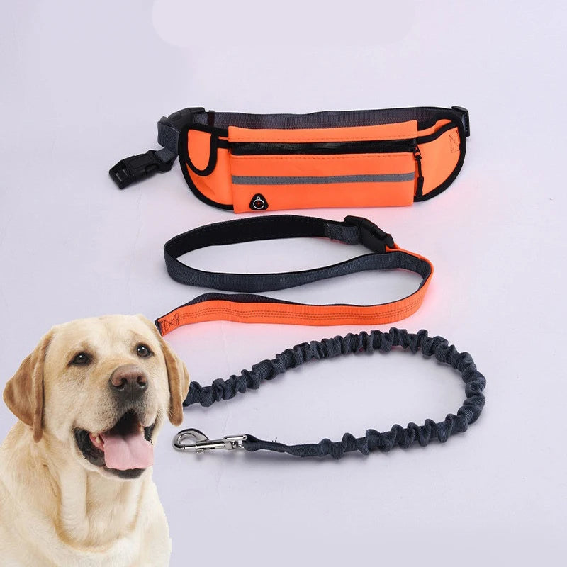 Hands Free Dog Running Leash