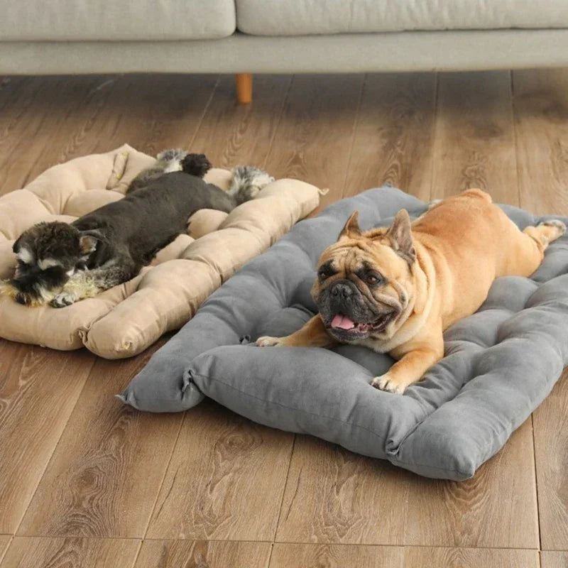 Multifunctional 3-in-1 Pet Bed