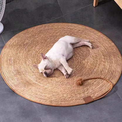 Cat Scratcher Mat With Ball