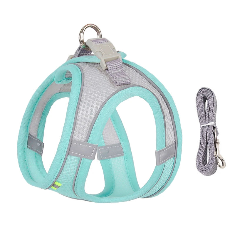 Cat Harness & Leash Set