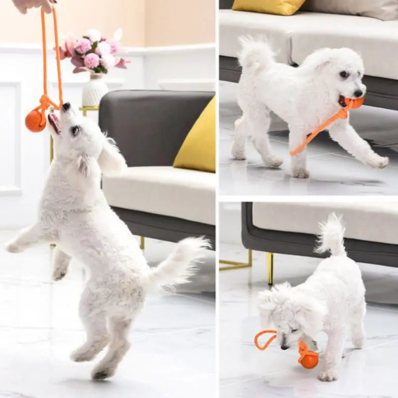 Dog Rope Bouncy Rubber Ball