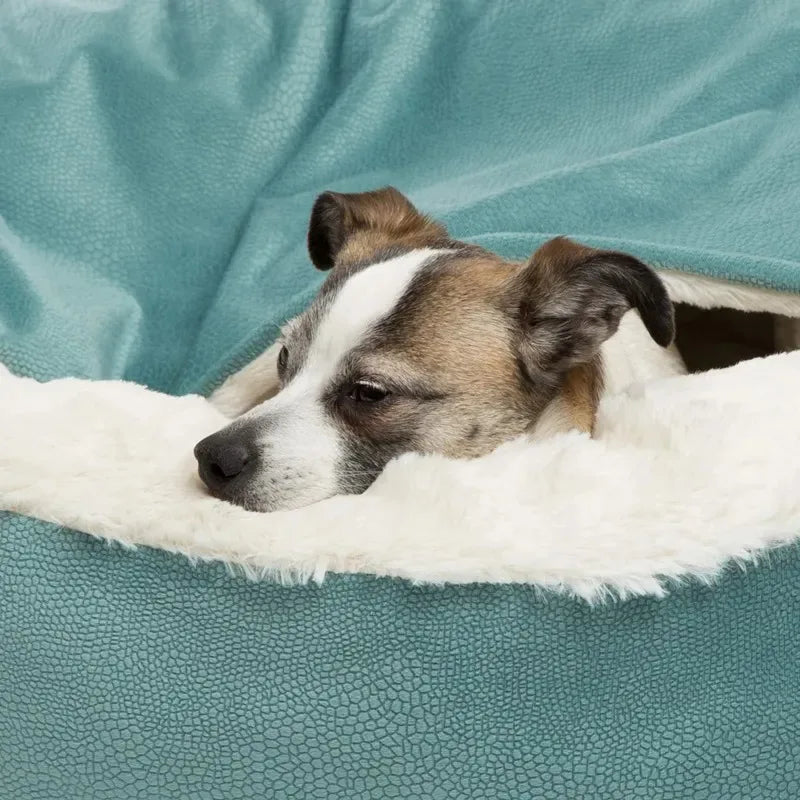 Super Comfortable Dog Bed With Blanket