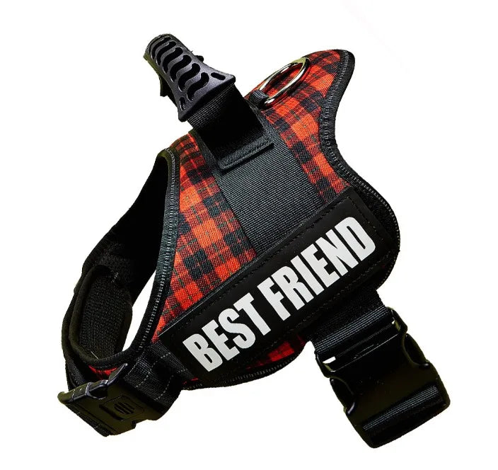 Custom ID Dog Harness