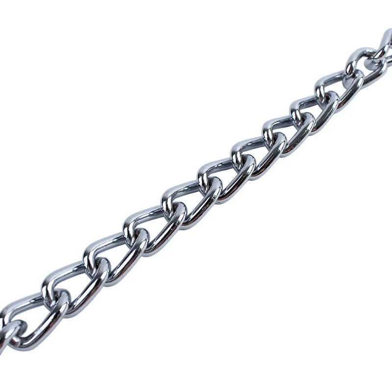 Stainless Steel Slip Chain Collar