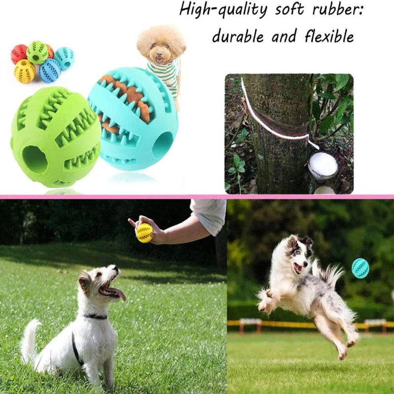 Dog Interactive Rubber Treat Ball