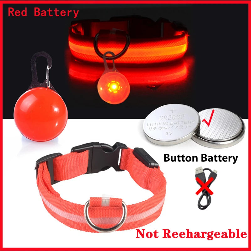 Glowing Dog Collar With Pendant