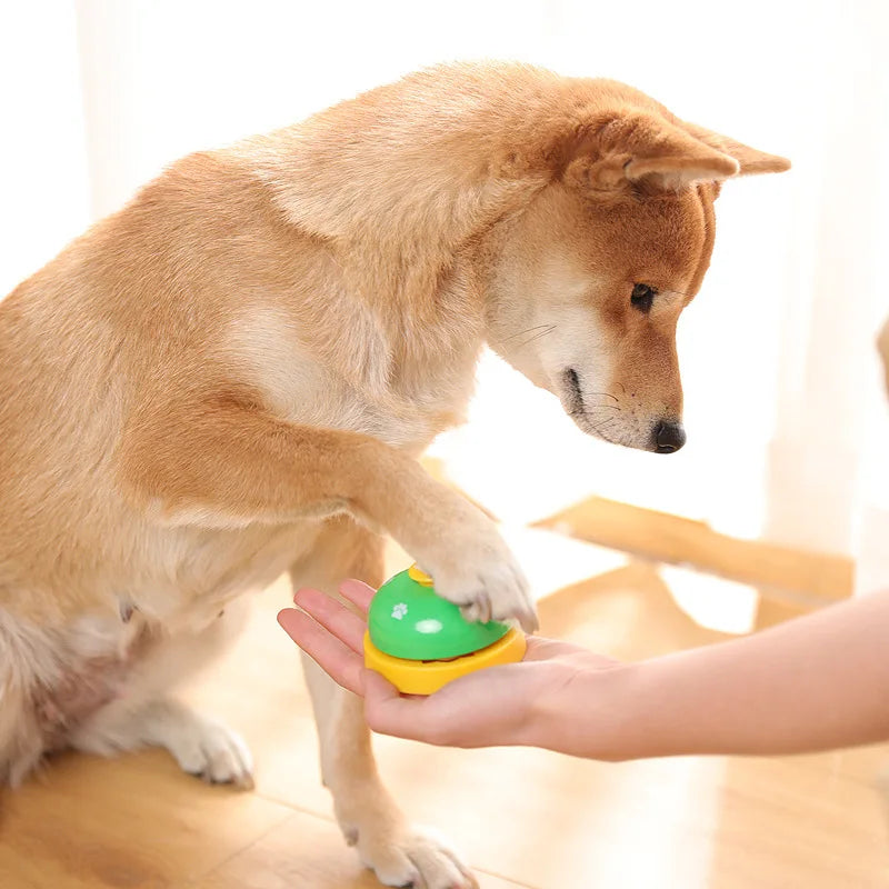 Training Interactive Pet Bell