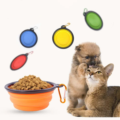 Silicone Pet Feeding Bowl