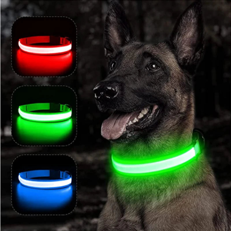 Glowing Dog Collar With Pendant