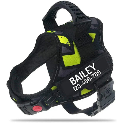 Custom ID Dog Harness